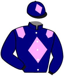 Stall Junior Farm