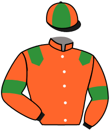 D.artu/O.rodrigues/C.afdjei