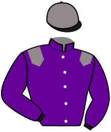 Ecurie R.I.S