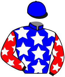 Thunder Stride Racing Llc