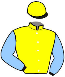 Ecurie Olof Brodin Ab (Swe)