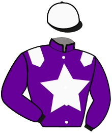 P. Stuyvaert