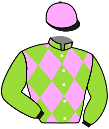 Aci Racing Stable Llc And Salina