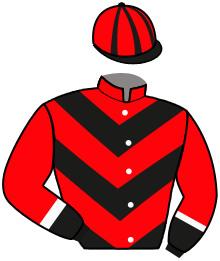 Paardensportcentrum Vita Nova