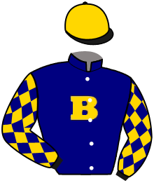 Bell Racing, Llc (William Belfor