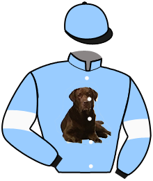 Mad Dog Racing Stable (Larry Dor