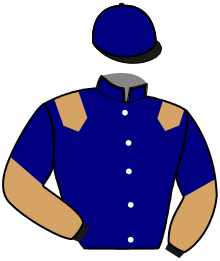 Stable J.e. Trotting