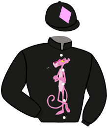 Ecurie Pink Panther