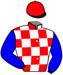 Ivica Vujic