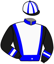 Stall Hoven Droven - Easy