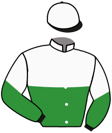 Saechsische Galopp-Union