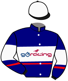 Go Racing Limited