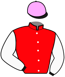 Mlle L. Mauduit