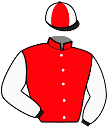 Haras du Arctic