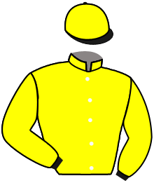 Twin Hurricane Racing, Llc (Char