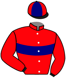 The Woodway 20