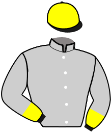 Scuderia Sant' Eusebio Snc (Ity)