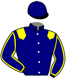 Dream With Me Stable Inc