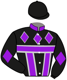 Stall Jumper