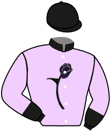 Jsm Equine, Llc (Joe Minor)