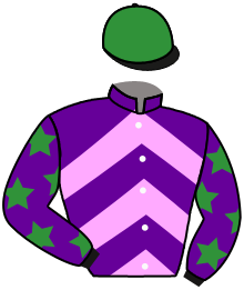 Stable Silks Investments Limited