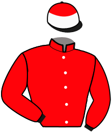 Scuderia Francesco Rosselli Srl