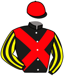 Sunday Racing Co Ltd
