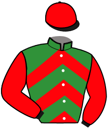 M. Bruyneel