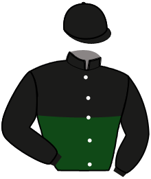 Firma Koskela Stable
