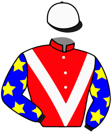 Noel Fehily Racing Syndicate- Ba