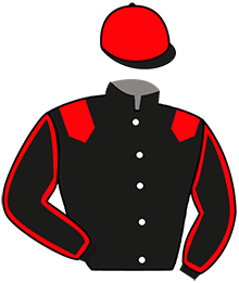 Y. Permentier