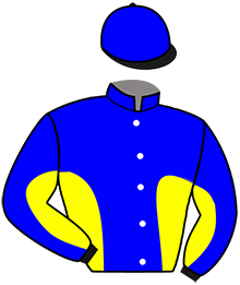 Ecurie D.s.m. Trotting