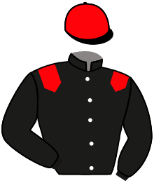 J. Palenker