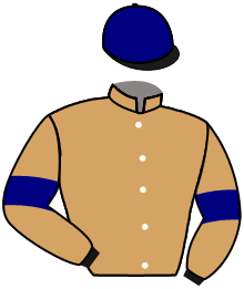 Hambleton Racing Ltd Xlvi