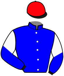 Scuderia Bindi S.n.c (Ity)